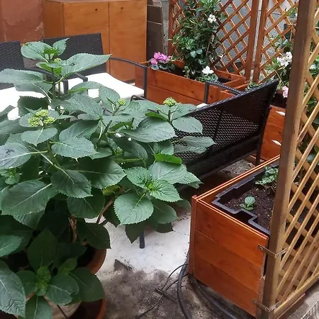 Lejlighed San Giorgio Degli Schiavoni *