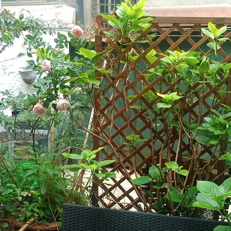 Apartamento San Giorgio Degli Schiavoni Venecia